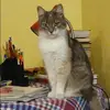 Отзыв от Зинаида Лыкова